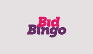 Bid Bingo Sister Sites